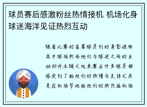 球员赛后感激粉丝热情接机 机场化身球迷海洋见证热烈互动
