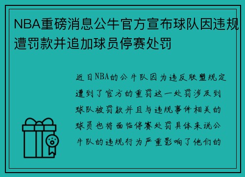 NBA重磅消息公牛官方宣布球队因违规遭罚款并追加球员停赛处罚